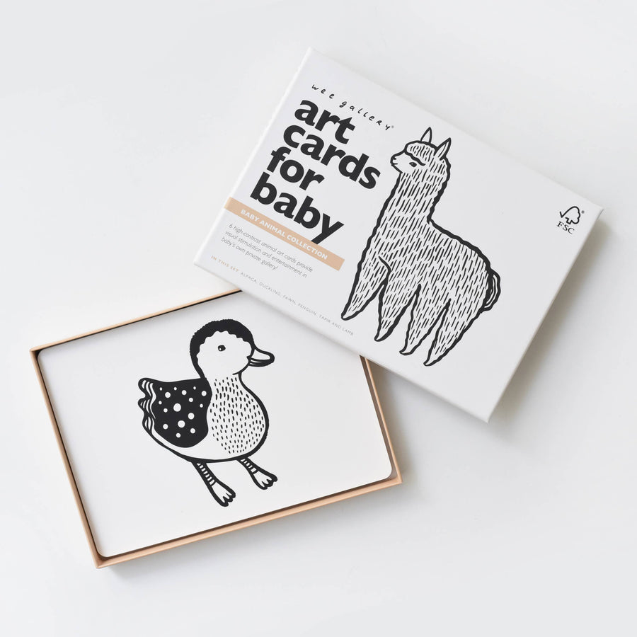 Kunstkarten für Babys - Babytierchen - Kleinkind-Blitzkarten – Anwendungsszene in einer Anwendungsszene, Bild 1