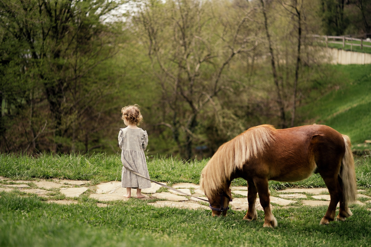 Hof & Tiere