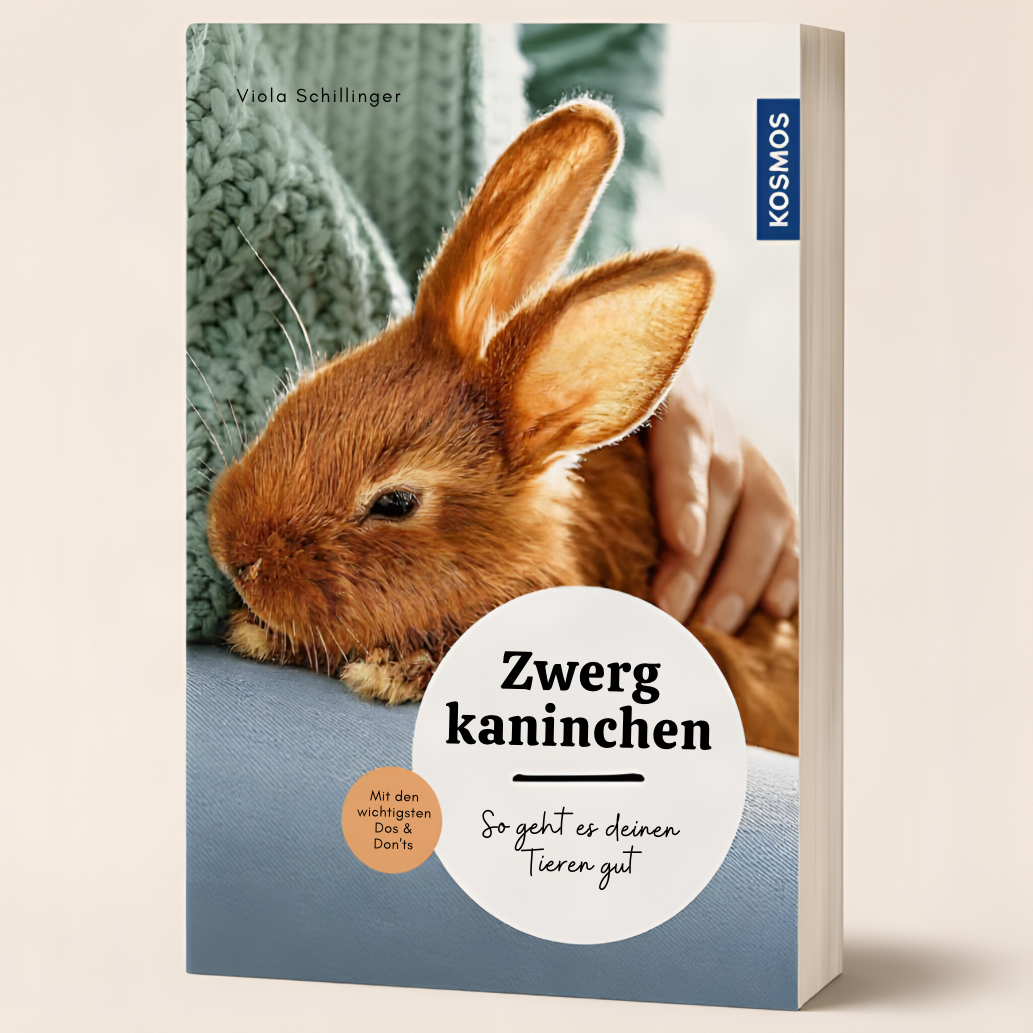 Zwergkaninchen: So geht es deinen Tieren gut